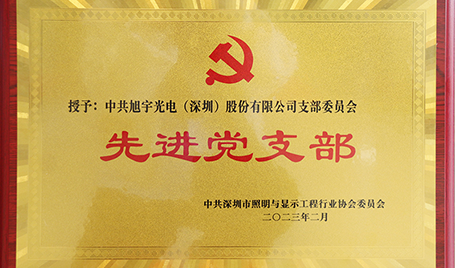 践行初心，担当使命丨乐天使获评“先进党支部”