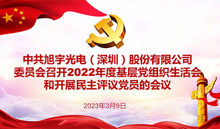 乐天使召开2022年度党支部组织生活会和民主评议会