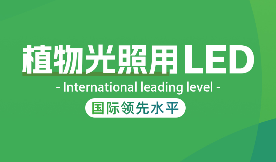 乐天使植物照明LED：高光量子效率驱动农业现代化与节能